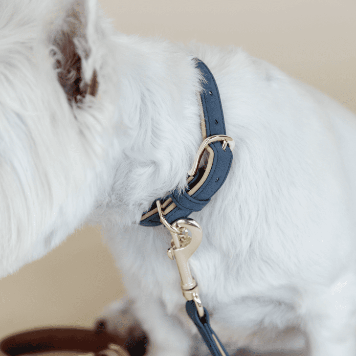 Kentucky - Collier pour chien vegan cuir - Marine beige