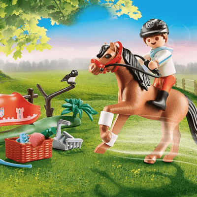 Playmobil - Cavalier et poney Connemara