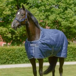 Couverture Bucas Quilt SF 150g Big Neck pour cheval à encolure large, utilisable en écurie ou sous-couverture