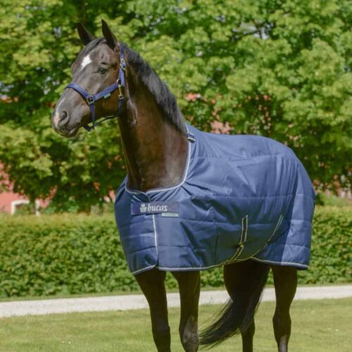 bucas-quilt-sf-150g-big-neck.jpg Couverture Bucas Quilt SF 150g Big Neck pour cheval à encolure large, utilisable en écurie ou sous-couverture