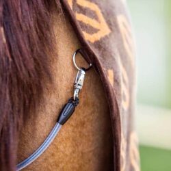 Winderen - Couverture Thermo Coat Brown / Ginger