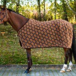 Winderen - Couverture Thermo Coat Brown / Ginger