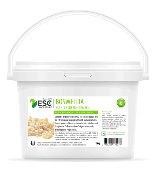Esc Laboratoire - BOSWELLIA SERRATA Esc Laboratoire - BOSWELLIA SERRATA Plante pure – Inflammations articulaires et pulmonaires cheval