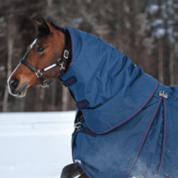 Horseware - Couvre cou Rambo optimo - marine