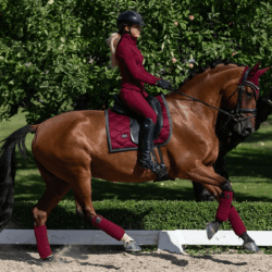 Equestrian Stockholm - Dark Bordeaux