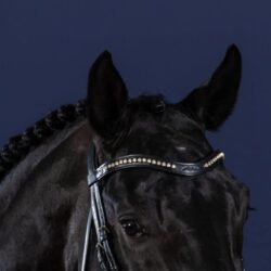 Dy'on frontal vague swarovski