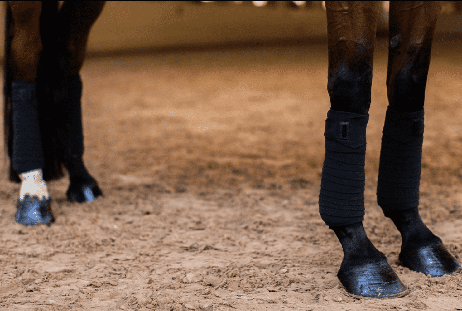 Capture d’écran 2022-12-13 à 18.59.10