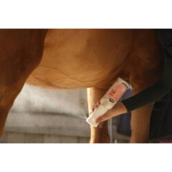 Ravene - Easy shine Intense 500ml