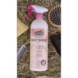 Ravene - Easy shine 750ml
