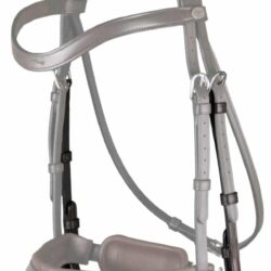 Montants de mors dyon