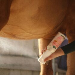 Ravene - Easy shine intense - recharge 500ml