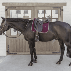 Kentucky - Tapis dressage classic leather - Bordeaux