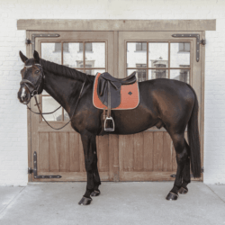Kentucky - Tapis dressage classic leather - Orange