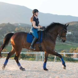 Lemieux - Tapis dressage suédine - Benetton Blue