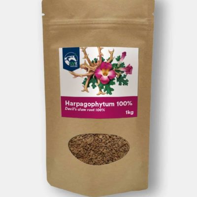 Reverdy - Harpagophytum 1kg