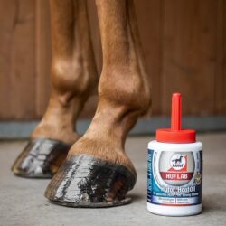Leovet - Huile pour sabot Huflab Hoof oil