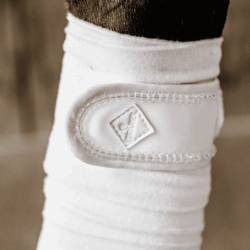Kentucky - Bandes de polo pearls - Blanc