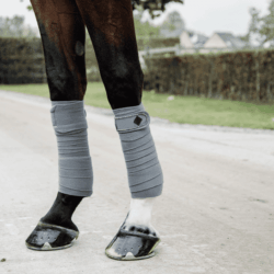 kentucky bande de polo perle grise