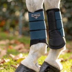 Lemieux - Guêtres grafter - Peacock