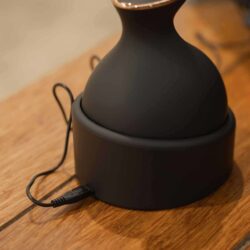 Imperial riding - Brosse de massage et de détente IRHVolta