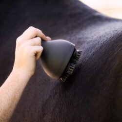 Imperial riding - Brosse de massage et de détente IRHVolta