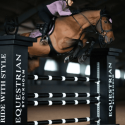 Equestrian Stockholm - Tapis jumping - Anemone full