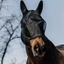 masque-anti-mouches-equitheme-anatomic-noir