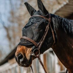 masque-anti-mouches-equitheme-anatomic-noir