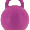 Hippotonic - Ballon à poignée pour chevaux - Fushia