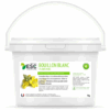 BOUILLON BLANC – Irritation et encombrement des bronches cheval – Plante pure