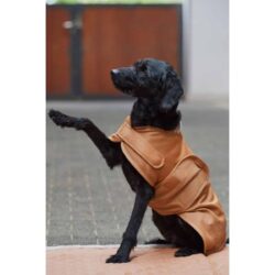 Eskadron - Manteau chien softshell Platinium 23 - Cognac