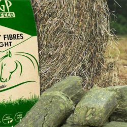 CGP Horsefeed - Bouchon de foin Wafer fibres LIGHT - sacs de 19 kg