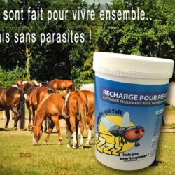 recharge piege à mouche