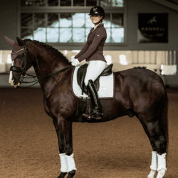 Equestrian Stockholm - Tapis de dressage Modern - White Moonless Night