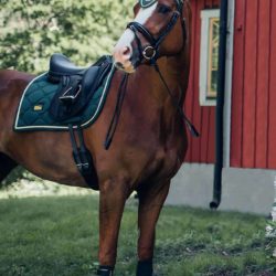 Equestrian Stockholm - Tapis de dressage - Forest Green