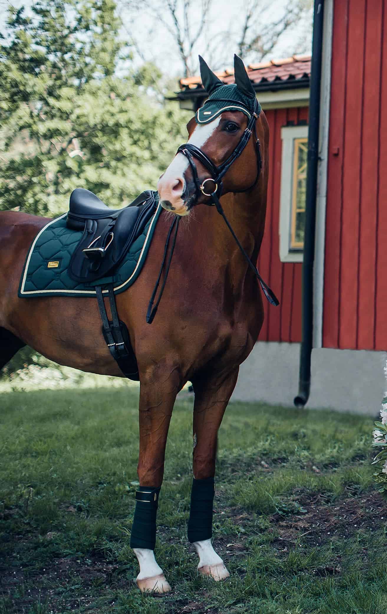 Equestrian Stockholm - Tapis de dressage - Forest Green Equestrian Stockholm - Tapis de dressage - Forest Green