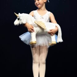 Lemieux - La licorne Shimmer