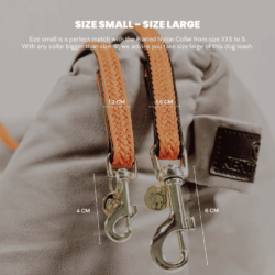 Kentucky laisse chien tressée deux tailles