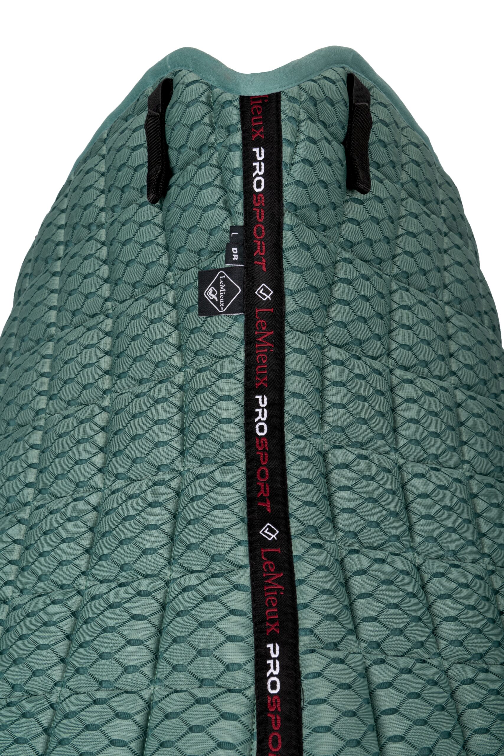 lm-carbonmeshdressage-sage8-hr