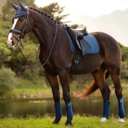 Lemieux - Tapis dressage Square suédine - Atlantic