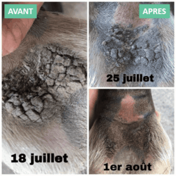 EKIN - Onguent Anti-Crevasse et Gale de boue