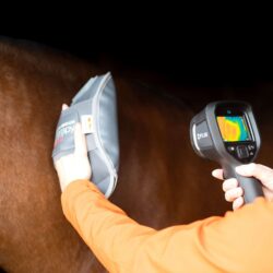 Equilibrium - Gant De Massage Chauffant