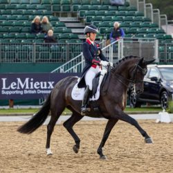 Lemieux - Tapis de dressage suèdine - Blanc