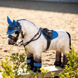 Lemieux - Poney Dream