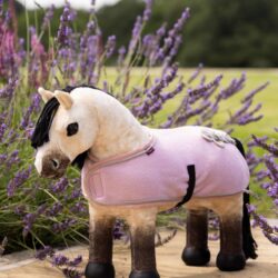 Lemieux - Poney Dream