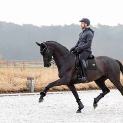 Lemieux - Tapis de dressage suède puissance - Noir