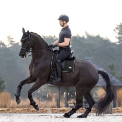 Lemieux - Tapis de dressage suède puissance - Noir