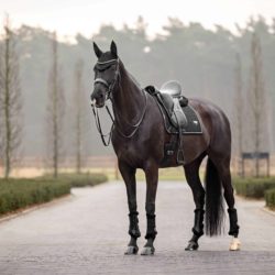 Lemieux - Tapis de dressage suède puissance - Noir
