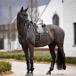 Lemieux - Tapis de dressage suède puissance - Noir