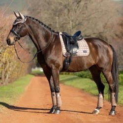 Lemieux - Tapis de dressage Rhone - Prosecco